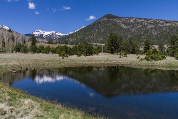 Lockett Meadow
