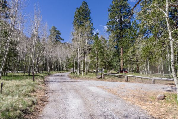 Lockett Meadow