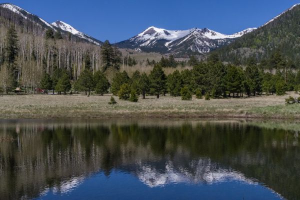 Lockett Meadow