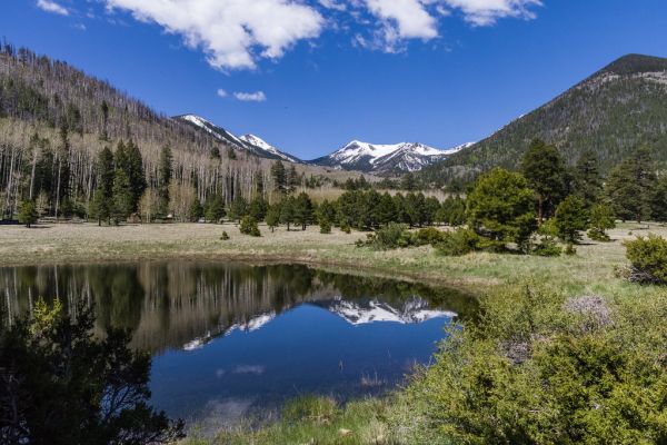 Lockett Meadow