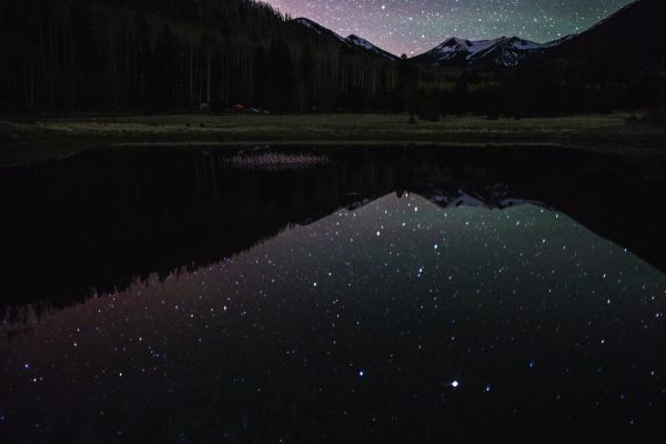 Lockett Meadow