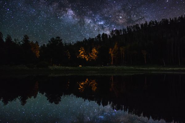 Lockett Meadow