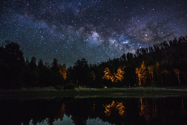 Lockett Meadow