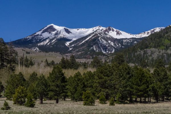 Lockett Meadow
