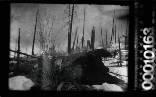 Logger clogger