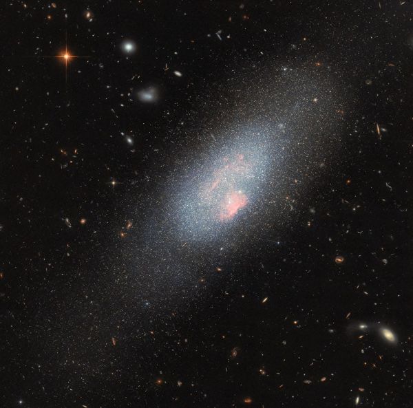 Massive Stars Make Their Mark in Hubble Image