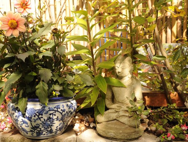 Meditating Buddha statue, on a sunny day, potted flowers, shells, mirror, A Garden for the Buddha, Seattle, Washington, USA