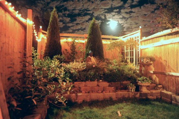 Meditation night - mind training, bright moon in the trees, clouds, blue sky, dog bone on the grass, statue of Buddha, bamboo fence, stepped garden, plants, bushes, A Garden for the Buddha, Seattle, W...