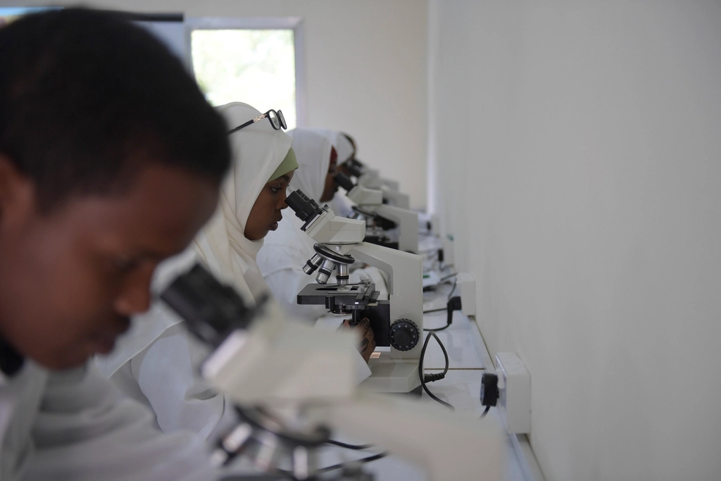 Mogadishu University students Faculty Health
