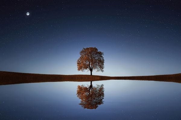 Moon and reflection