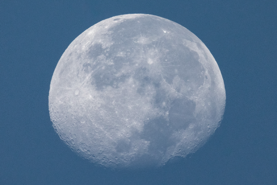 Moon Dusk