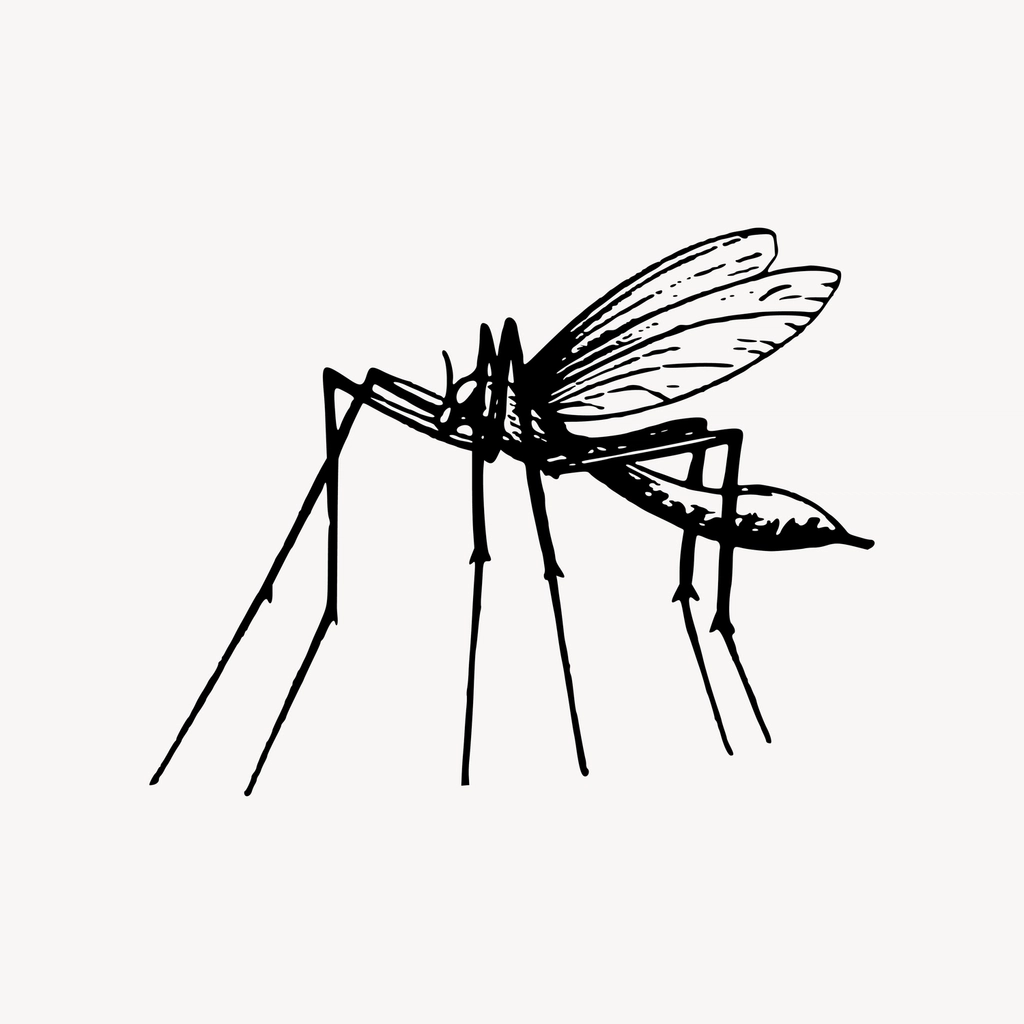 Mosquito clipart, drawing illustration vector