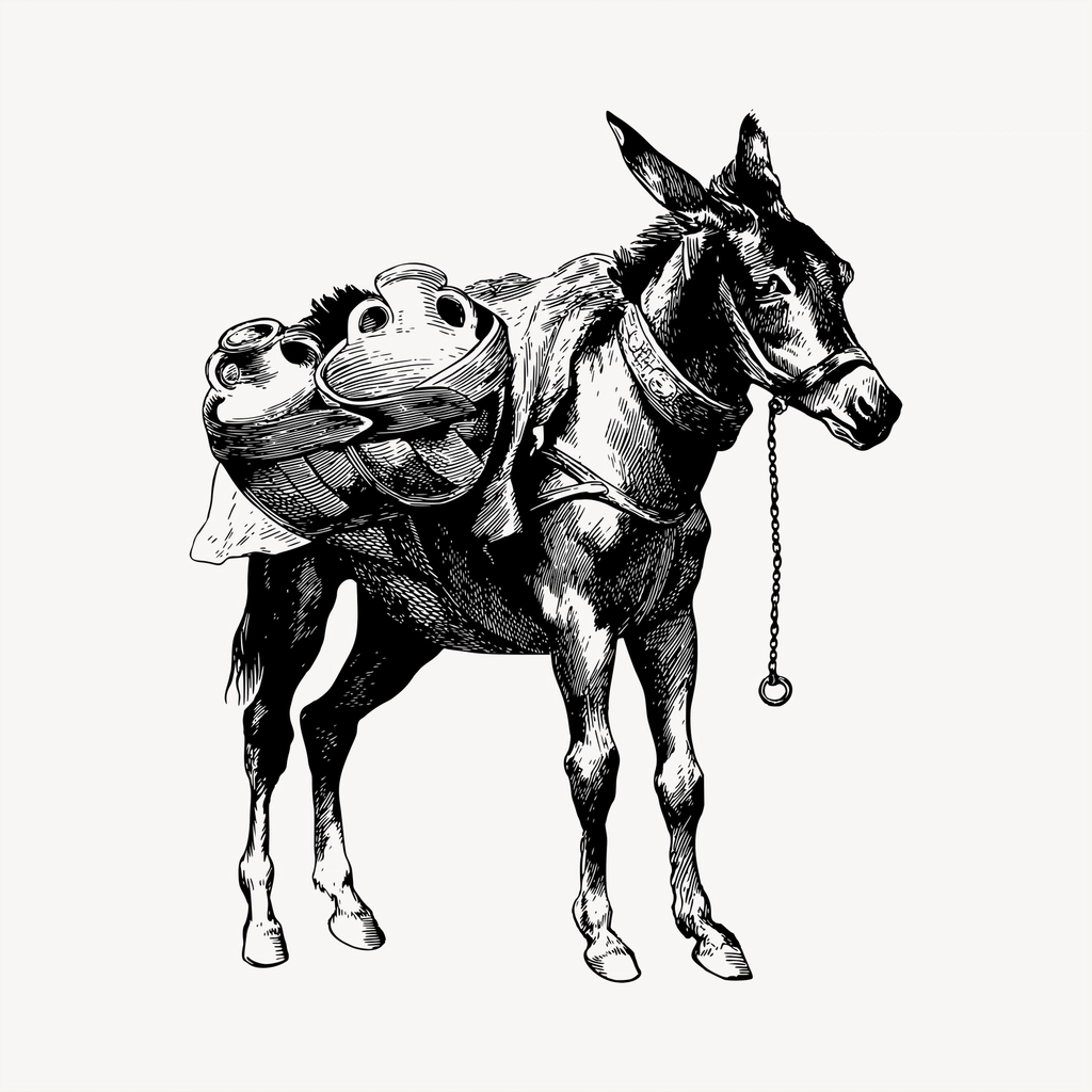 Mule clipart, vintage hand drawn
