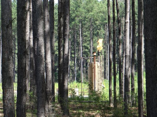 Natural Gas Flare