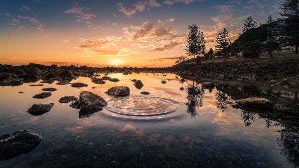 Nature Reflection