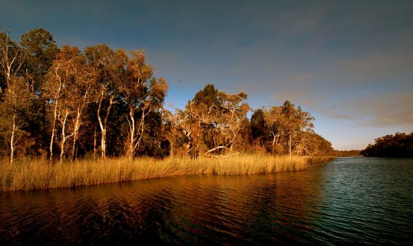 Noosa Everglades Australia.