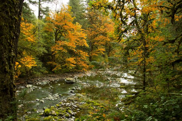 North Santiam River, Oregon