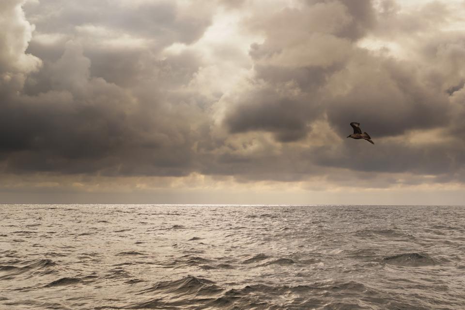 Ocean Sea