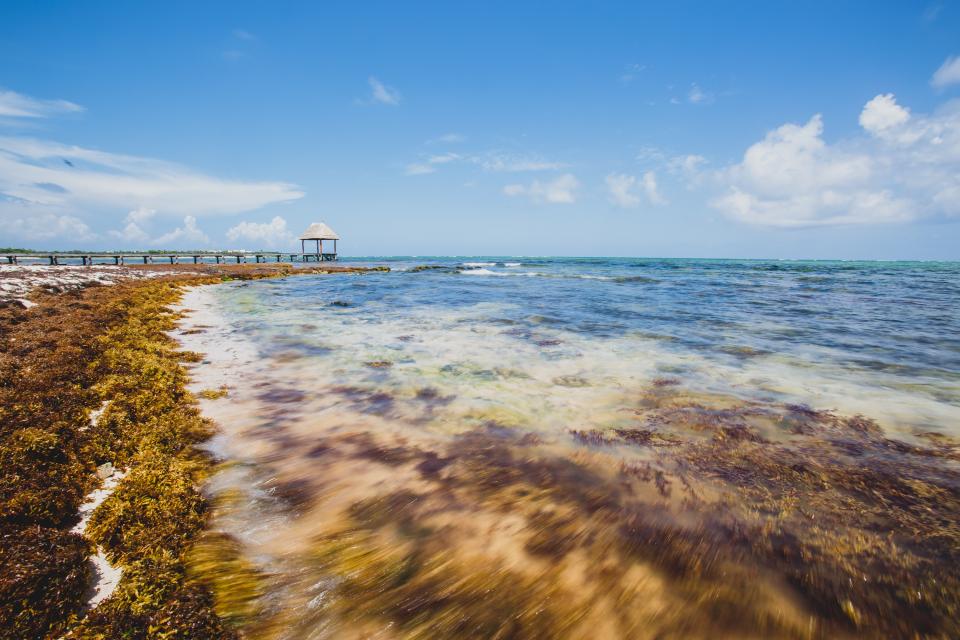 Ocean Sea