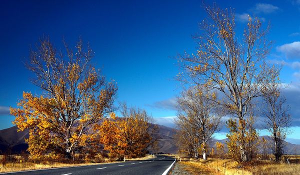 On the Autumn road.