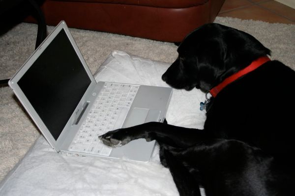 On the Internet...