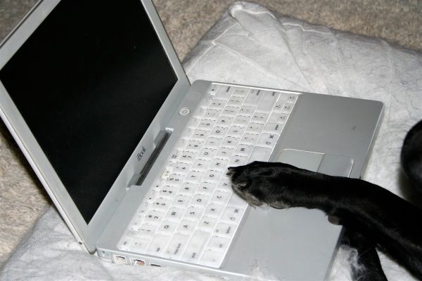 On the Internet...