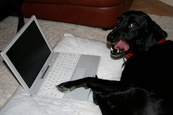On the Internet...