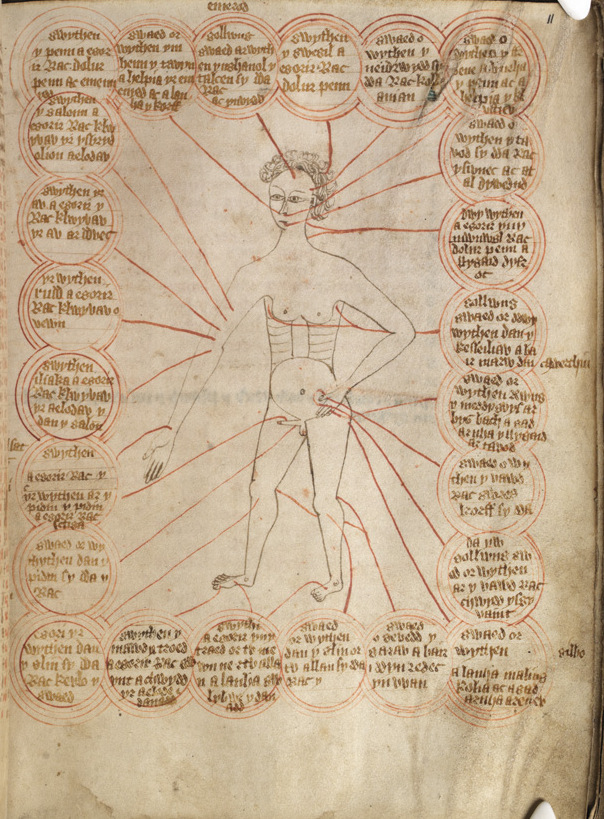 P. 11 a chart showing the parts of the body to be bled for different diseases