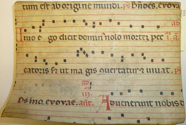 Parchment leaf from a liturgical music ms. (probably an antiphonary) used as binder's waste