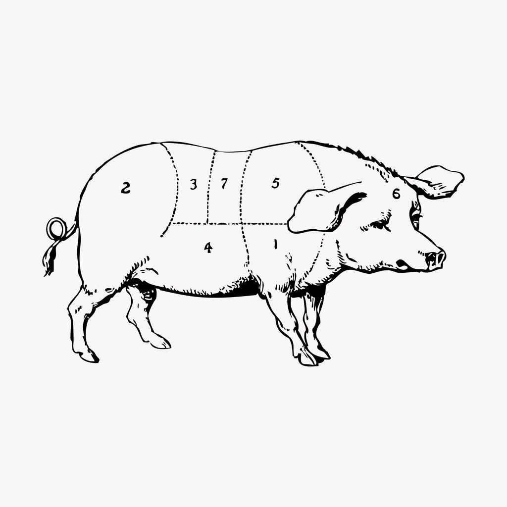 Pig hand drawn clipart, pork