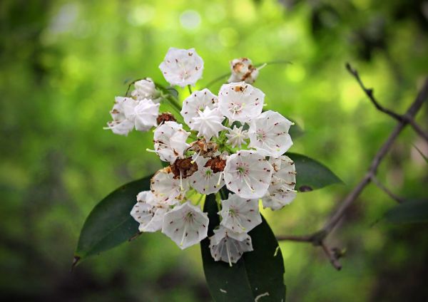 Plainfield Township Recreation Trail (2)