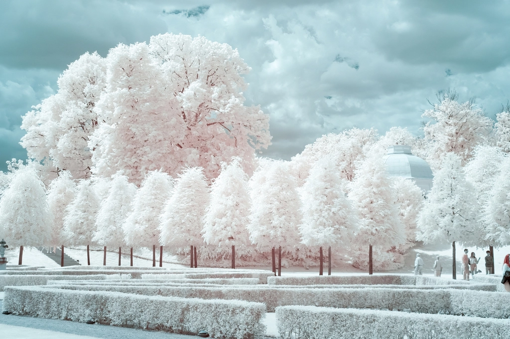 Polaroid filtered winter snow scenery