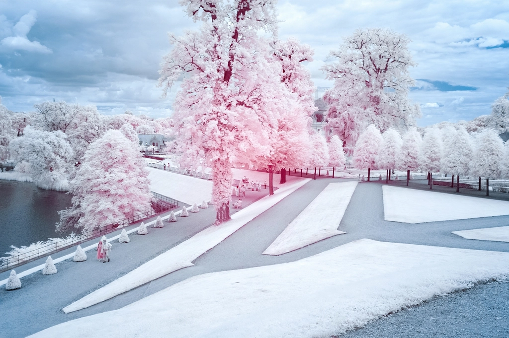 Polaroid filtered winter snow scenery