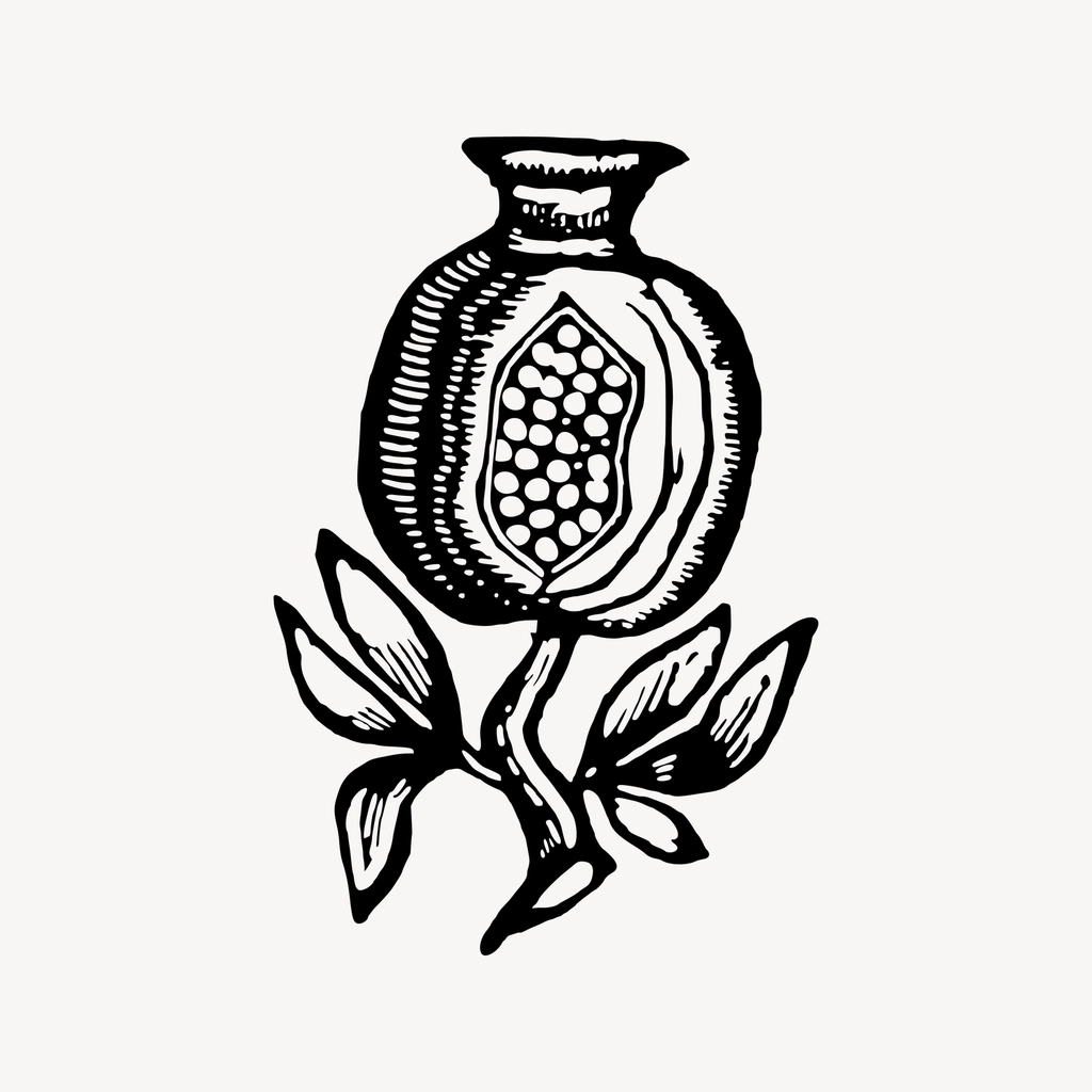 Pomegranate clipart, drawing illustration vector