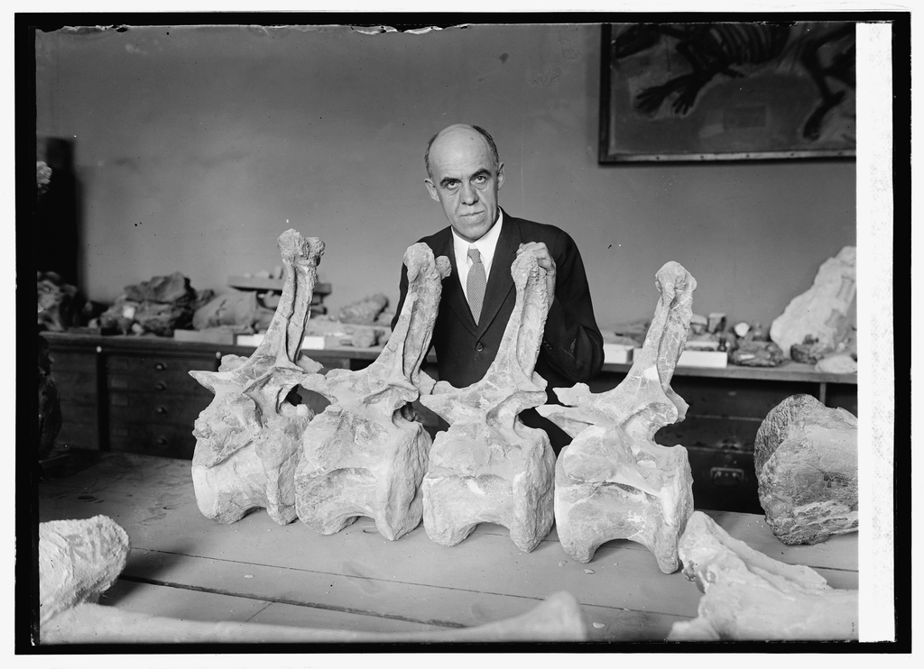 Prof. Chas. Gilmore Smithsonian Institution
