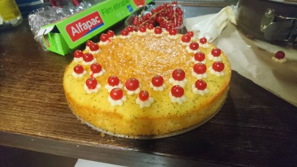 redcurrant_cake_01