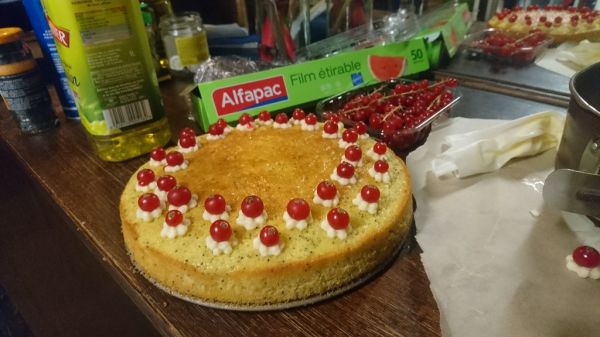 redcurrant_cake_03