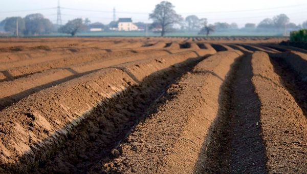 Ridge and Furrow