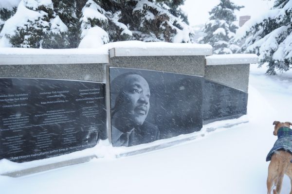 Rosie checks out Dr. Martin Luther King, Jr's memorial in the snow, donors names proudly engraved, Park Strip, downtown, Anchorage, Alaska, USA