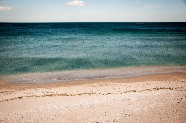 Sandy Beach Shoreline by Ocean