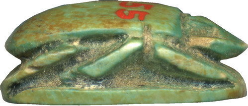 Scarab with Script Sign Combination ca. 1525-1492 BCE (New Kingdom, Dynasty 18)