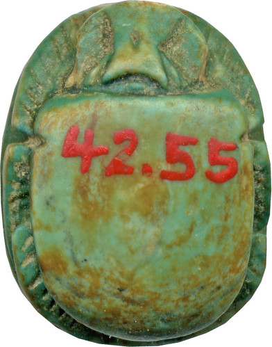Scarab with Script Sign Combination ca. 1525-1492 BCE (New Kingdom, Dynasty 18)