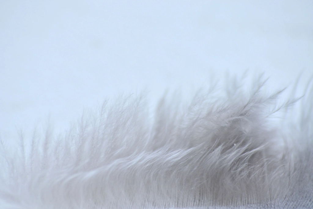 Scarf winter snow