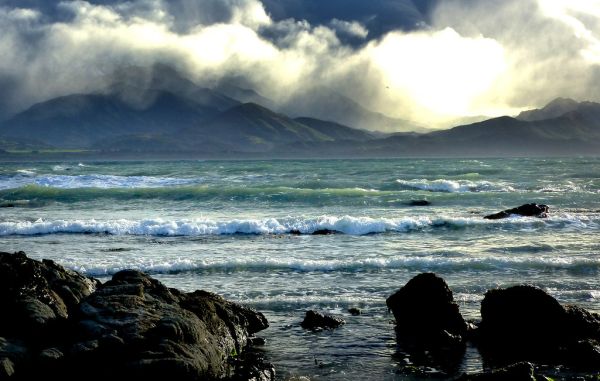 Seascape. Kaikoura. NZ