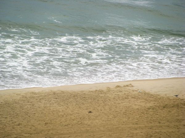 Seashore with Sand and Ocean Water