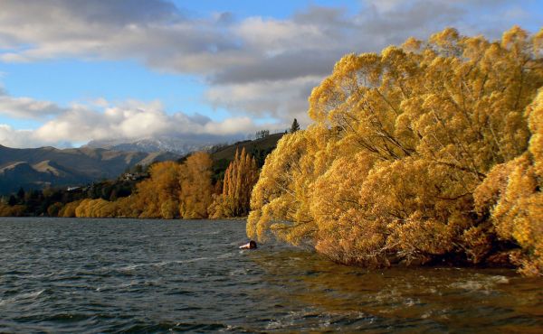 Season of Autumn. NZ