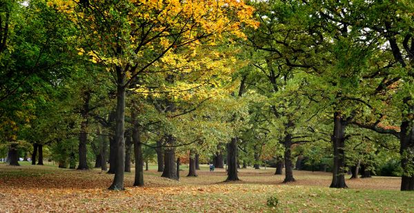 Seasonal changes downunder.