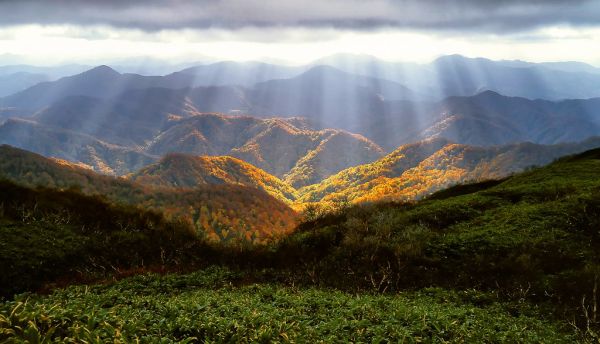 Shirakami Sanchi, Japan
