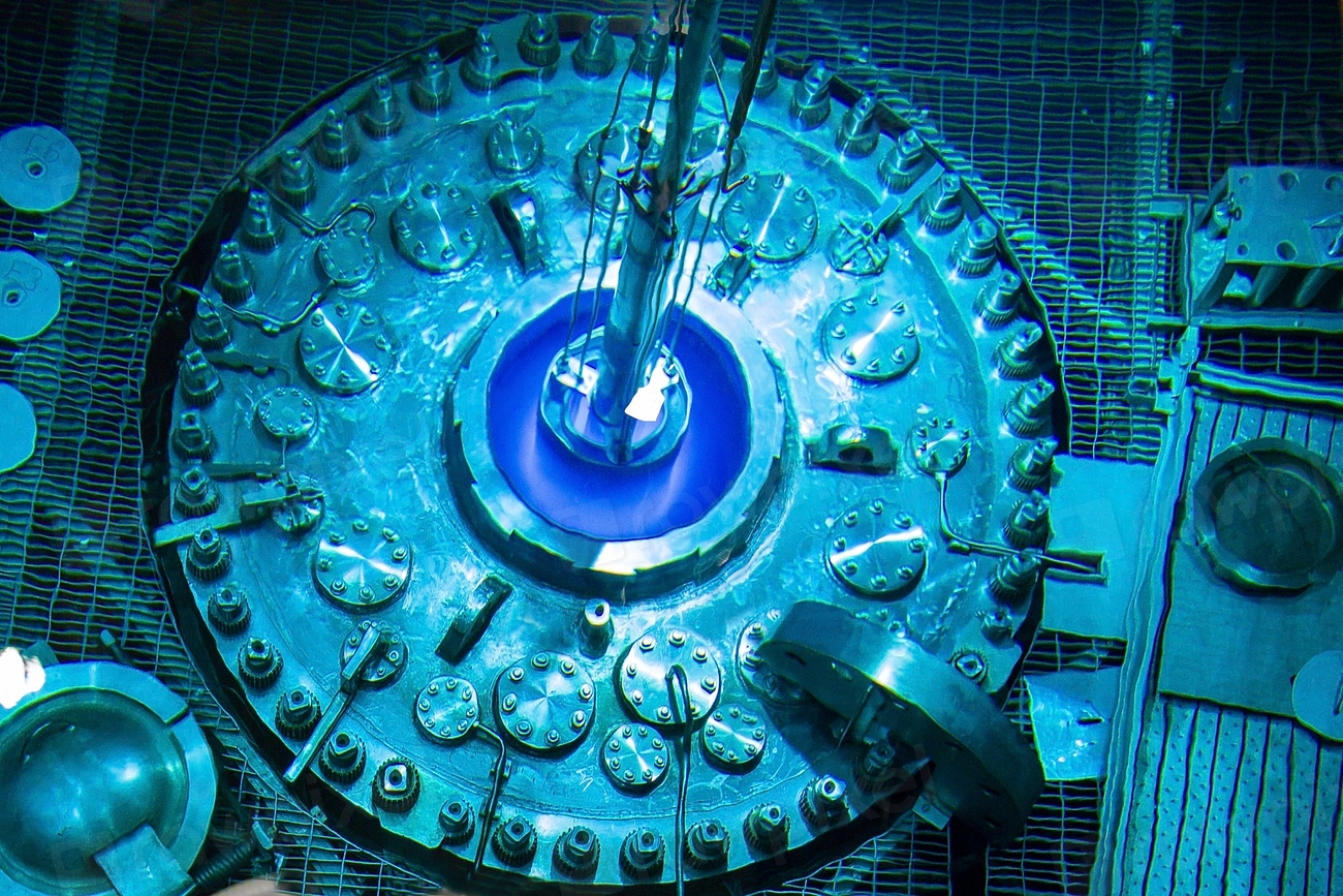 Shown is the reactor pool