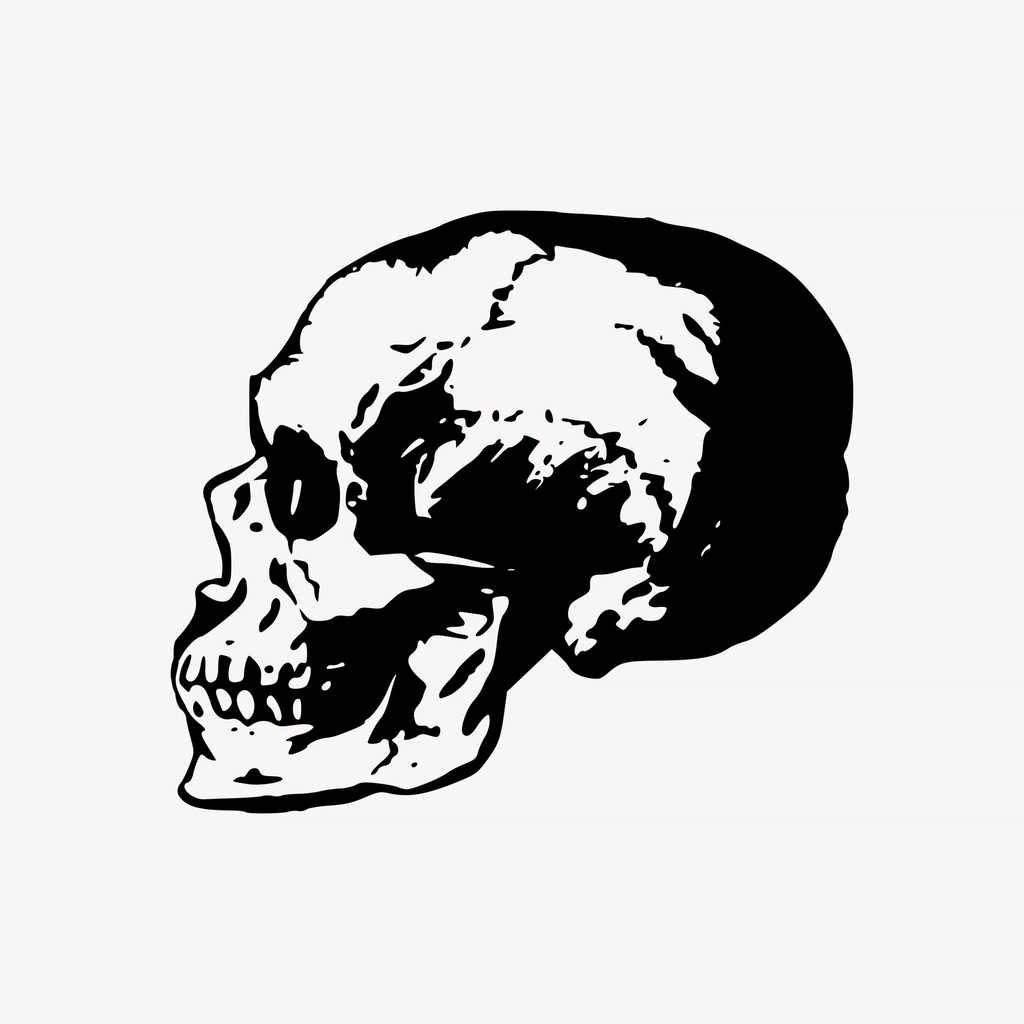 Side skull clipart, drawing illustration